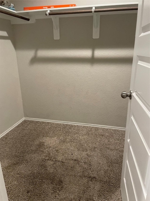 walk in closet featuring carpet