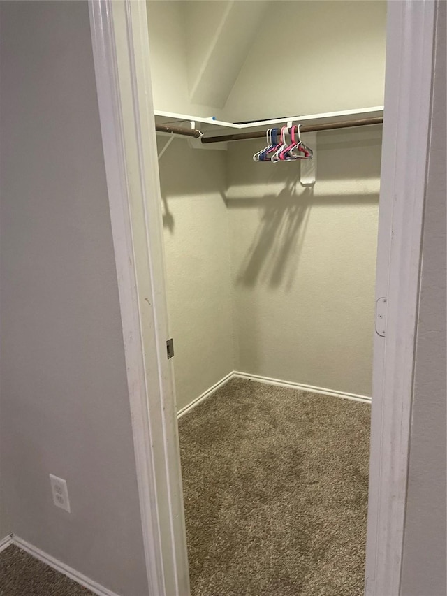 walk in closet with carpet flooring