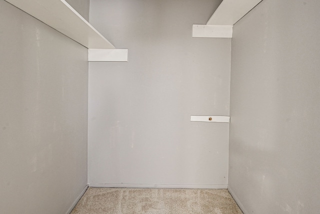 spacious closet with light colored carpet