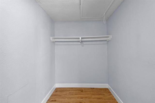 walk in closet featuring wood-type flooring