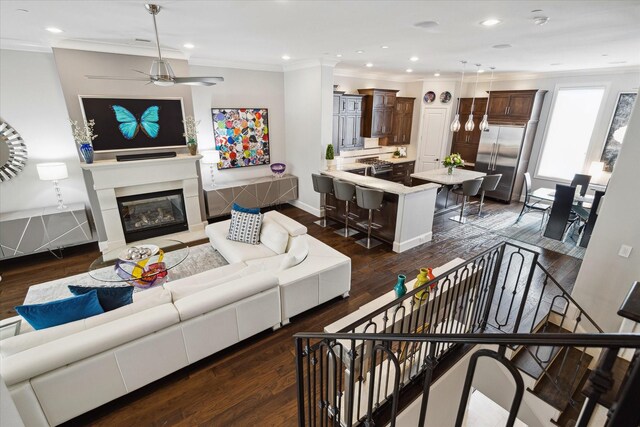 living room with ceiling fan, dark wood-type flooring, and ornamental molding