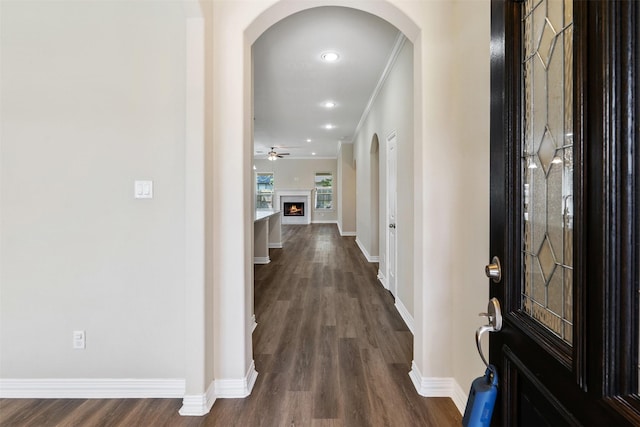 foyer entrance with ceiling fan, crown molding, and dark wood-type flooring