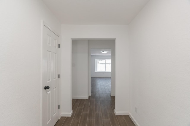 hallway featuring dark hardwood / wood-style flooring