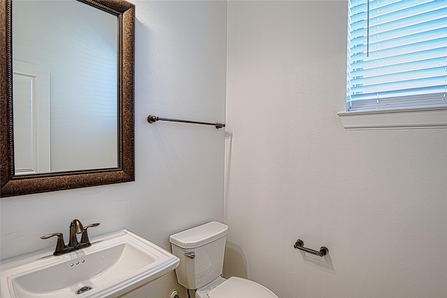 bathroom featuring sink and toilet