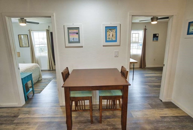 dining space with a wealth of natural light, ceiling fan, and dark wood-type flooring