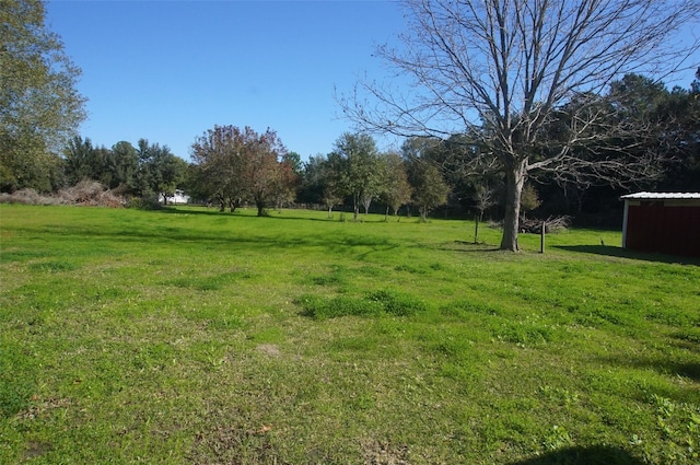 view of yard