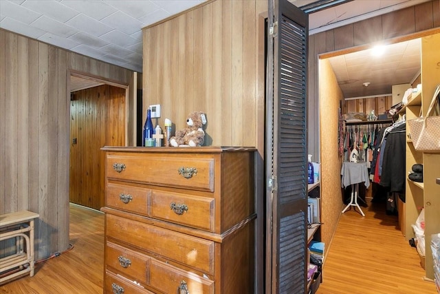 spacious closet with light wood-type flooring