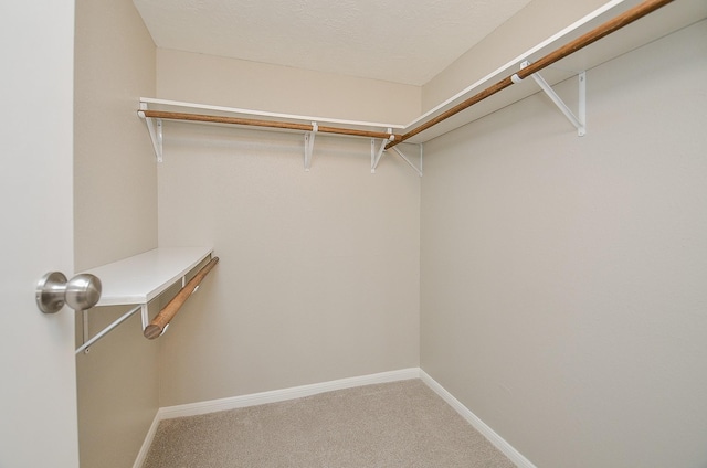 walk in closet with carpet