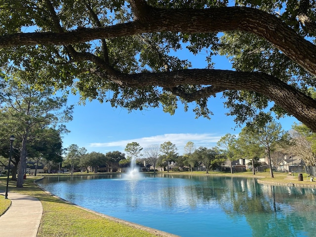 property view of water