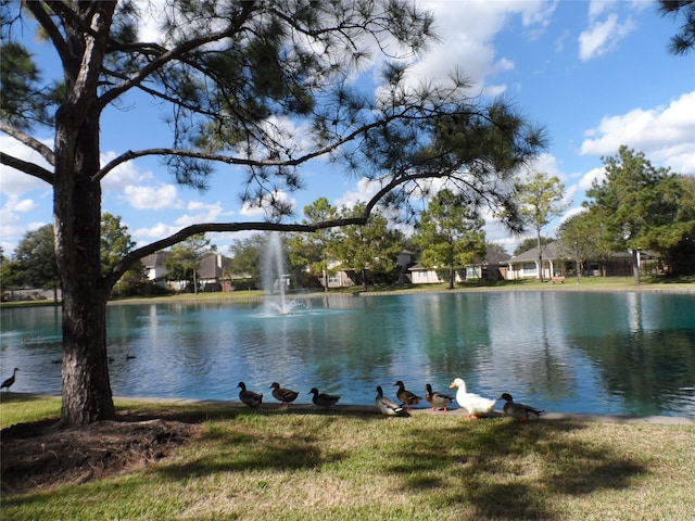 property view of water