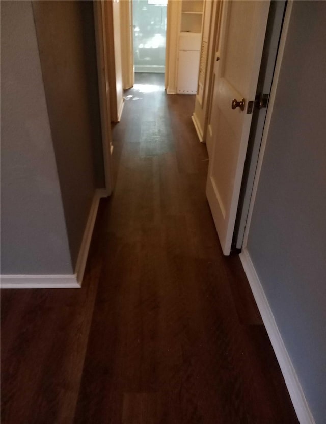 hallway featuring dark wood-type flooring