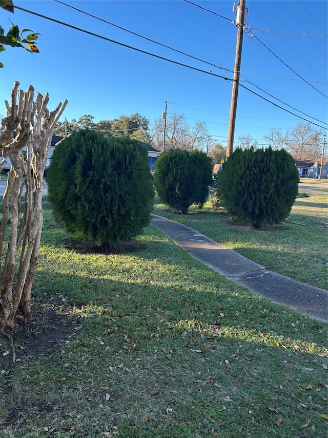 view of yard