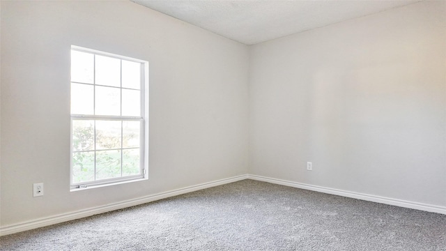 empty room with carpet and a textured ceiling