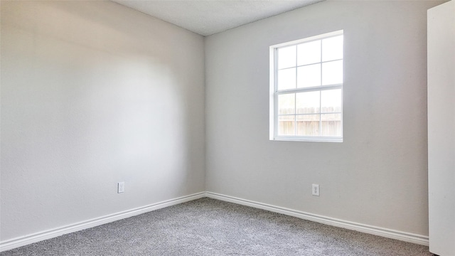 spare room featuring carpet floors