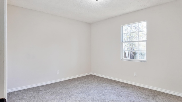 empty room featuring carpet and a textured ceiling