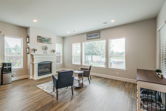 living room featuring dark wood-type flooring