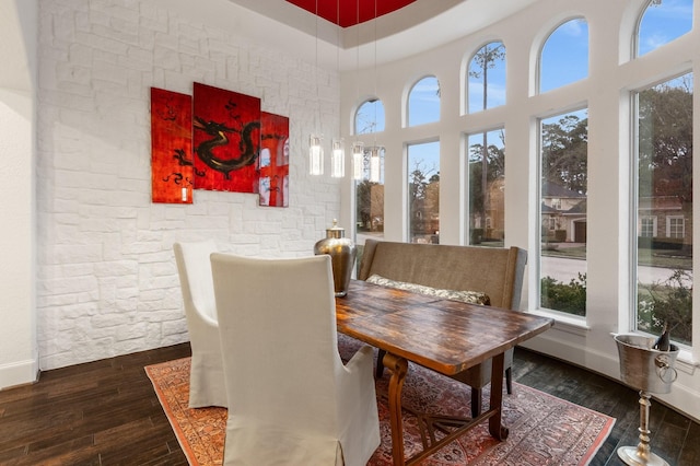 interior space with a high ceiling, dark hardwood / wood-style flooring, and plenty of natural light