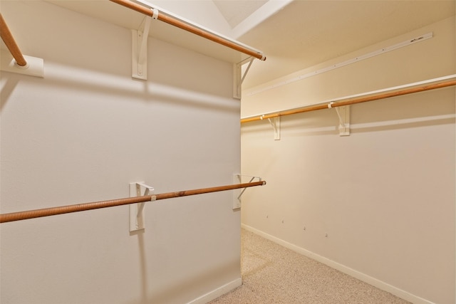 walk in closet with carpet flooring