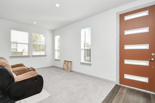 sitting room featuring wood-type flooring