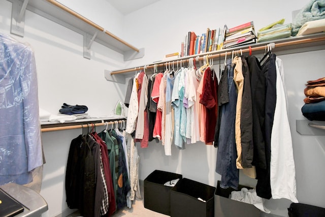 view of spacious closet