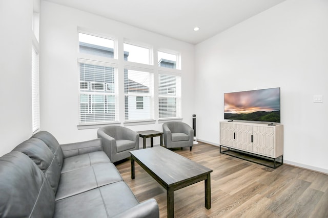 living room featuring hardwood / wood-style floors