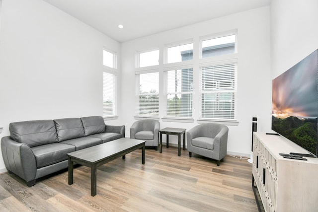 living room with light wood-type flooring