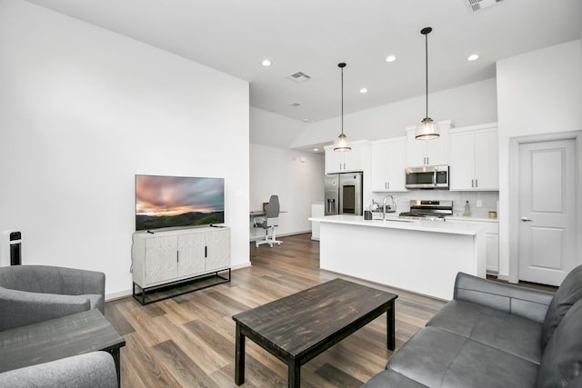 living room featuring sink and dark wood-type flooring