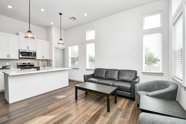 living room featuring sink and dark hardwood / wood-style floors