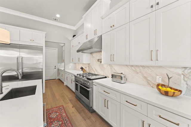 kitchen featuring sink, premium appliances, decorative backsplash, white cabinets, and ornamental molding