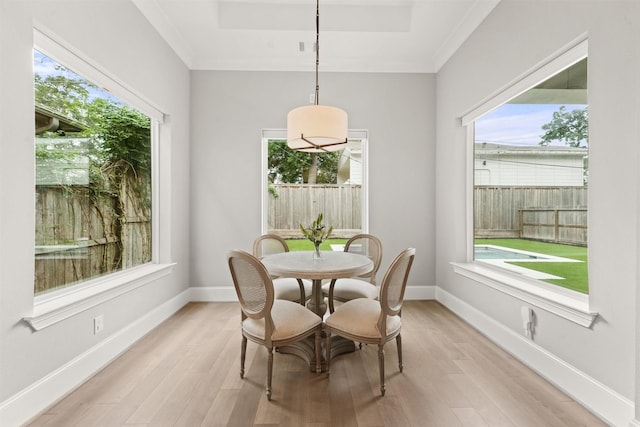 dining room with light hardwood / wood-style flooring and a healthy amount of sunlight