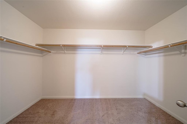 walk in closet featuring carpet