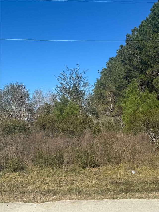 417 County Road 3546, Cleveland TX, 77327 land for sale