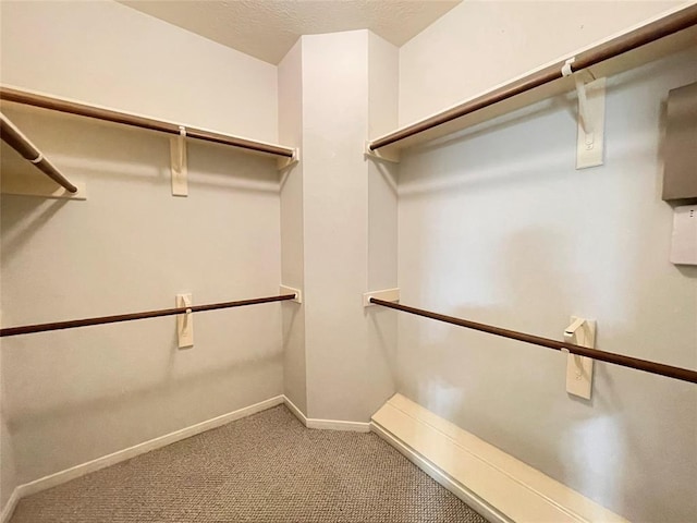 spacious closet with light colored carpet