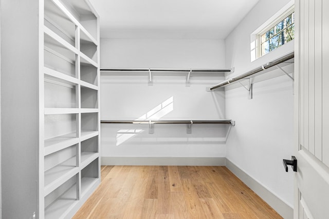 spacious closet featuring wood-type flooring