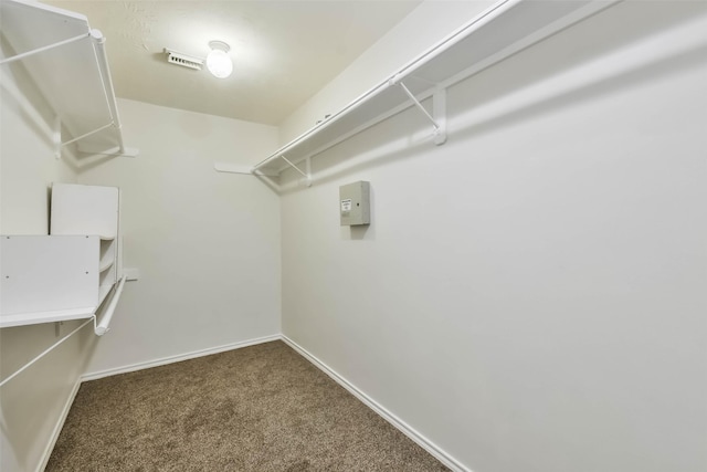 spacious closet featuring carpet floors