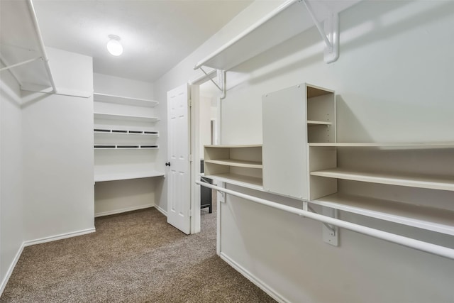 walk in closet with carpet floors