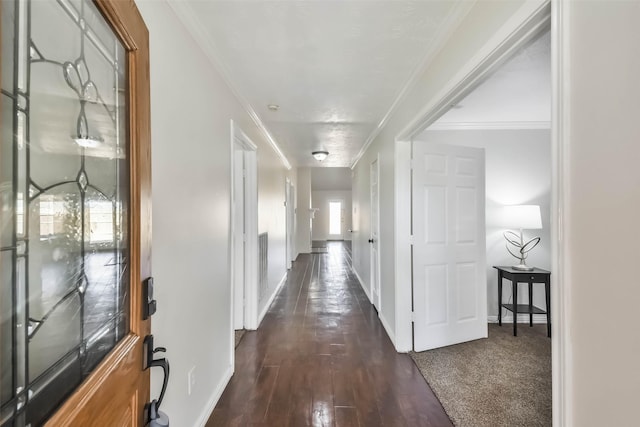 hallway with crown molding and dark hardwood / wood-style flooring