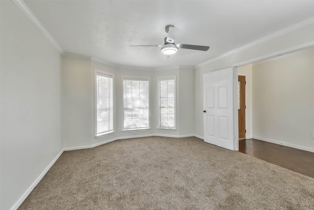 carpeted spare room with ceiling fan and ornamental molding