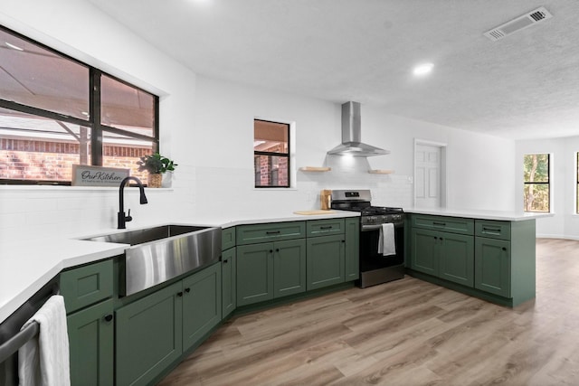 kitchen featuring green cabinets, sink, wall chimney exhaust hood, decorative backsplash, and stainless steel appliances