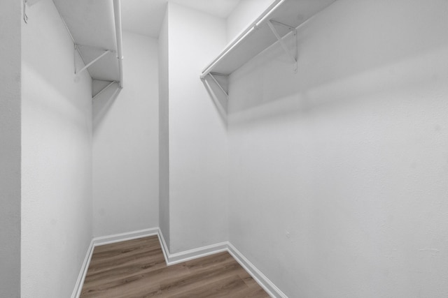 spacious closet with wood-type flooring