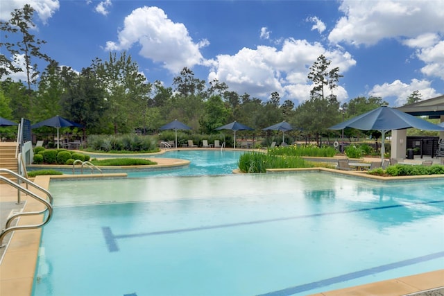 view of pool featuring a patio