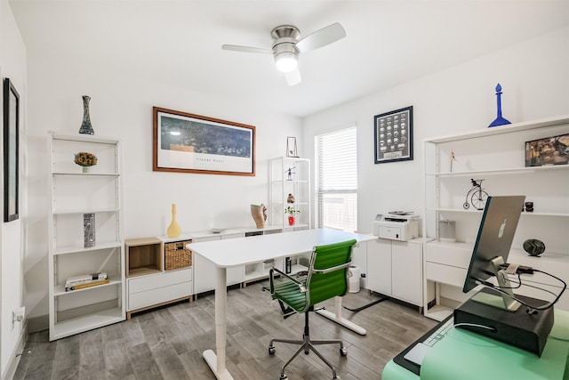 home office featuring ceiling fan and light wood-type flooring