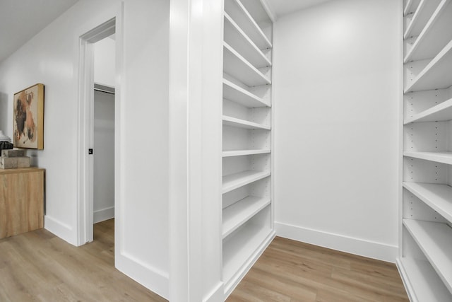 spacious closet with light wood-type flooring