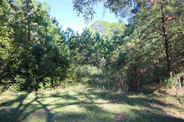 Listing photo 3 for 3403 Ironwood Dr, Kountze TX 77625