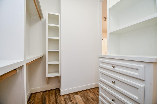 spacious closet with dark hardwood / wood-style floors