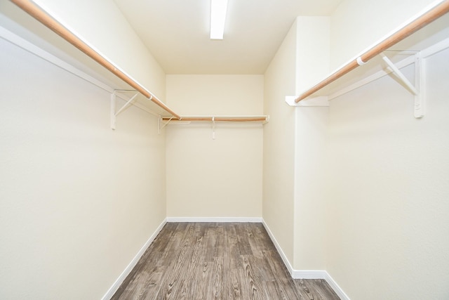 spacious closet with hardwood / wood-style floors