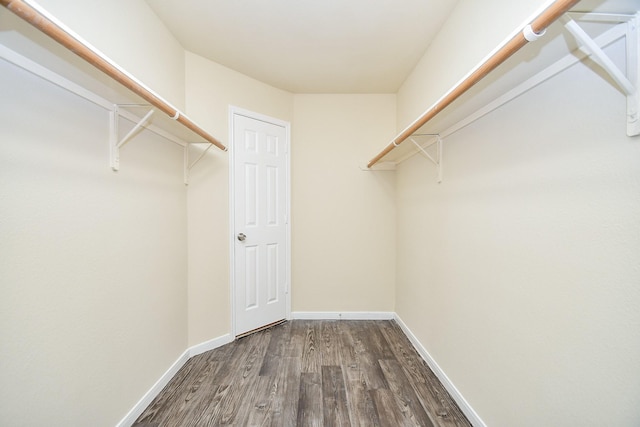 walk in closet with dark wood-type flooring