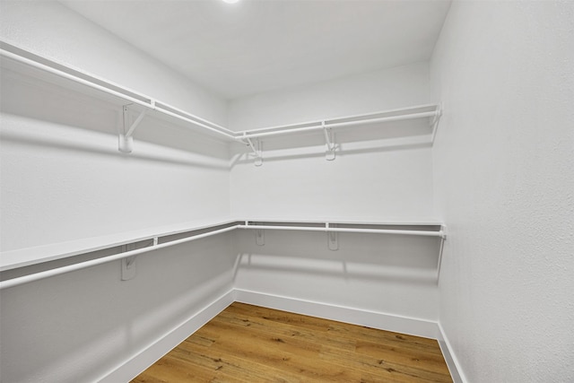 walk in closet with hardwood / wood-style floors