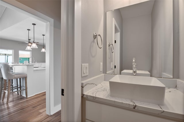 bathroom featuring sink and wood-type flooring