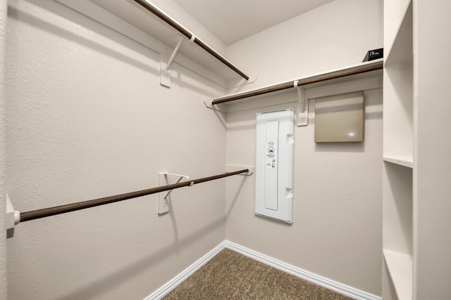 spacious closet with carpet floors